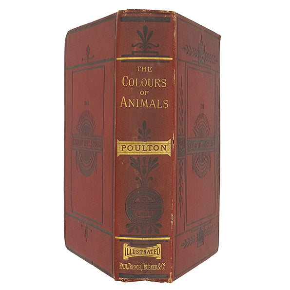 The Colours of Animals by Edward Bagnall Poulton - Kegan Paul 1890