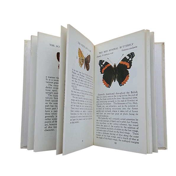 The Observer's Book of Butterflies by W. J. Stokoe (#2) NO DJ LAMINATED