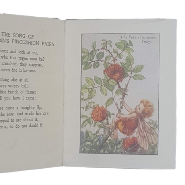 Flower Fairies of the Autumn by Cicely Mary Barker - Blackie