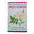 The Observer's Book of British Wild Flowers by W. J. Stokoe (#2) DJ