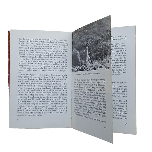 The Observer's Book of Wild Animals of the British Isles by W.J. Stokoe (#5) DJ
