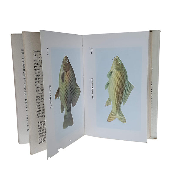 The Observer's Book of Freshwater Fishes by T.B. Bagenal (#6) DJ
