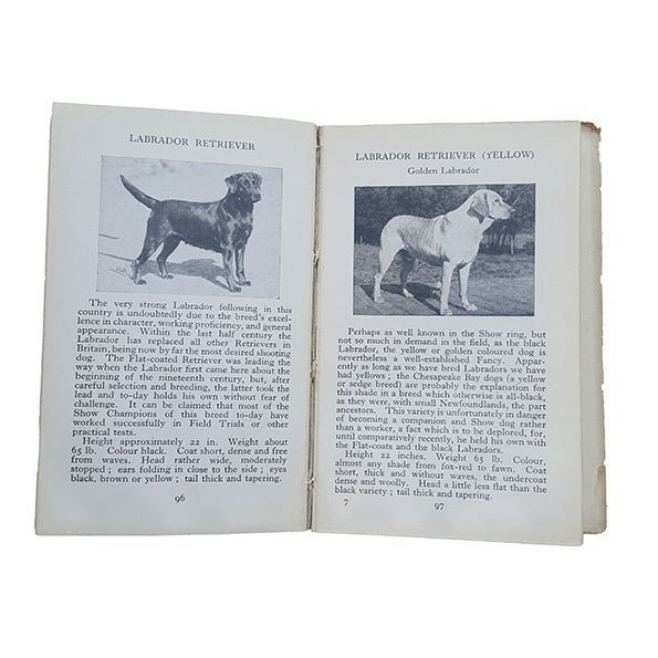 The Observer's Book of Dogs by Sonia Lampson (#8) 1948 DJ