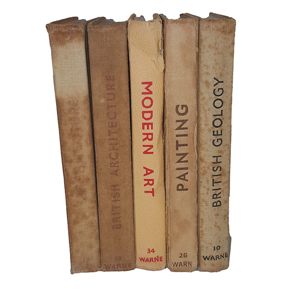 Well-Loved Observer Collection - 5 Beige Books