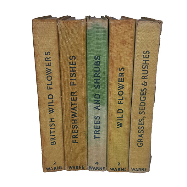 Well-Loved Observer Collection - 5 Green Books