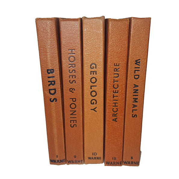 Observer Five Book Brown Collection