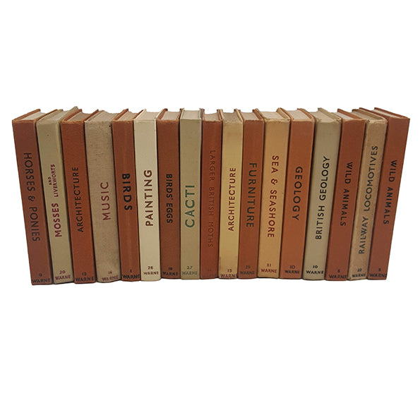 Observer Five Book Earth Tone Collection - Beige-Brown