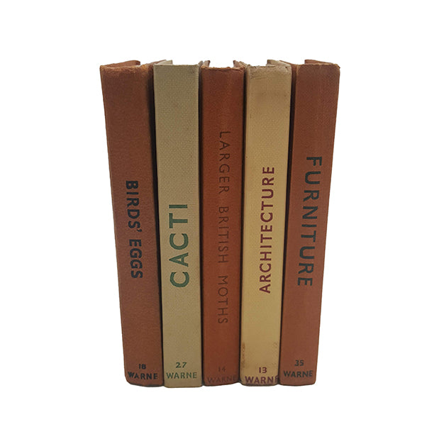 Observer Five Book Earth Tone Collection - Beige-Brown