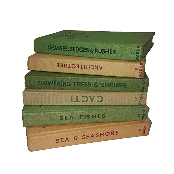 Observer Six Book Beige &amp; Green Collection