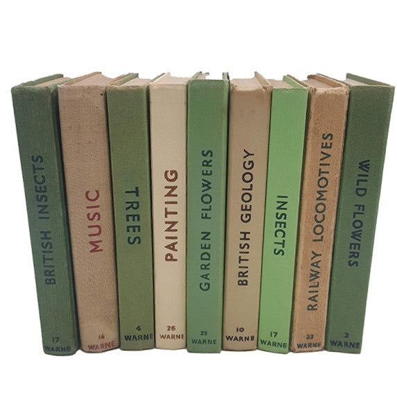 Observer Six Book Beige &amp; Green Collection