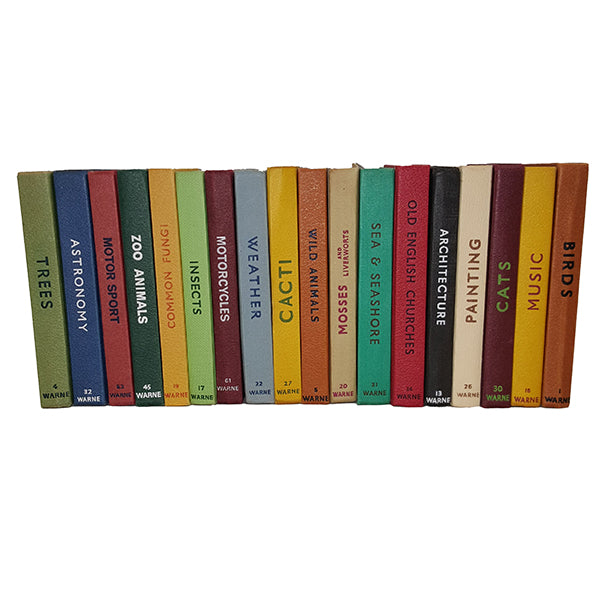 Books by the Foot: Multicolour Observer Books (18 Books)