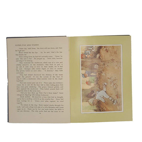 J.M. Barrie's Peter Pan and Wendy - Hodder and Stoughton