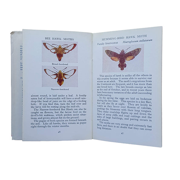 The Observer's Book of Larger Moths by R. L. E. Ford (14) NO DJ BROWN