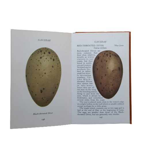 The Observer's Book of British Birds' Eggs by G. Evans (#18) DJ