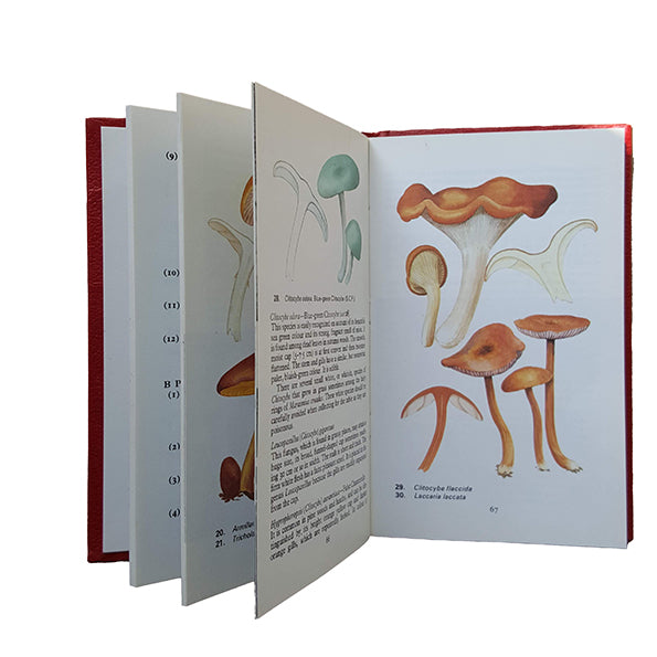 The Observer's Book of Common Mushrooms &amp; Toadstools by E. M. Wakefield (#19) NO DJ RED