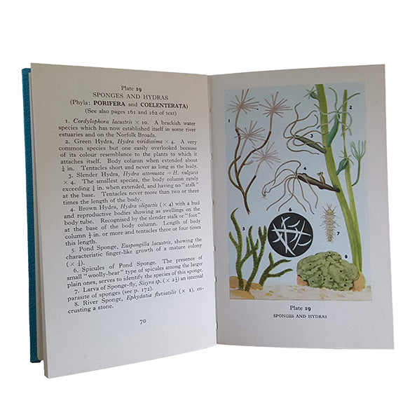 The Observer's Book of Pond Life by John Clegg (#24) 1967 DJ