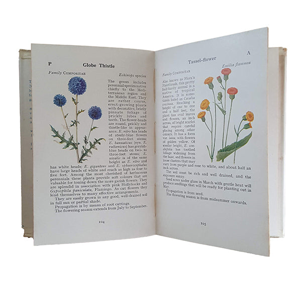 The Observer's Book of Garden Flowers by Arthur King (#25) NO DJ BURGUNDY