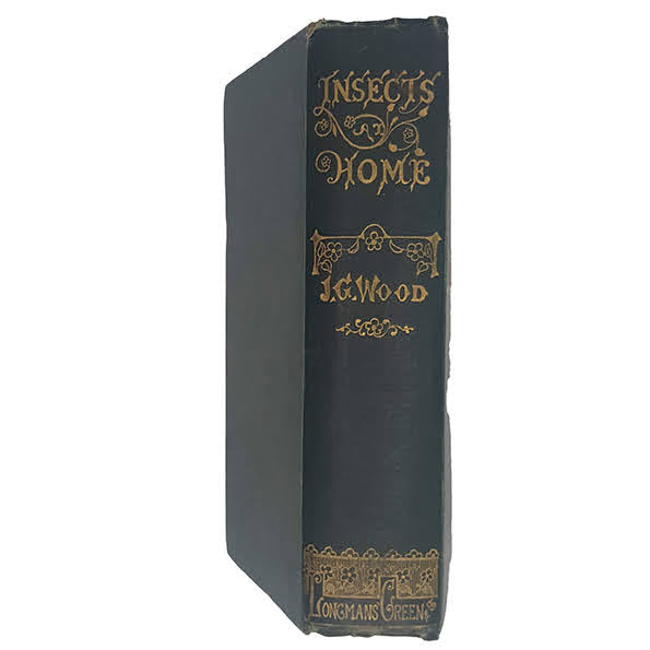 Insects at Home by J. G. Wood - Longmans Green, 1892