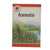 Ladybird 737 Leaders: Forests 1977