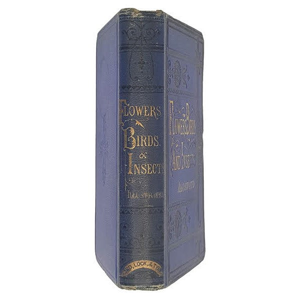 Flowers, Birds and Insects by H. G. Adams - Ward, Lock, and Tyler