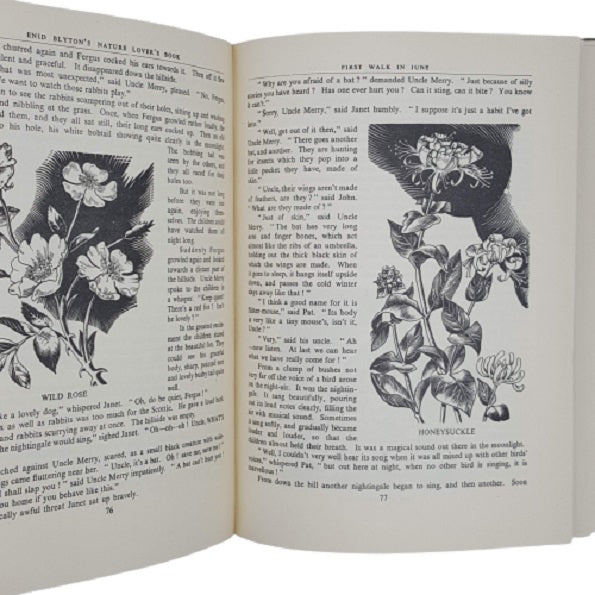 Enid Blyton's Nature Lover's Book 1949