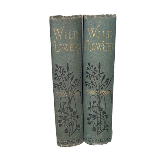 Wild Flowers, First &amp; Second Series by Anne Pratt, 1902 (2 Books)
