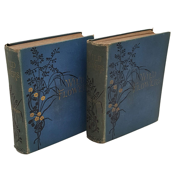 Wild Flowers, First &amp; Second Series by Anne Pratt, 1902 (2 Books)