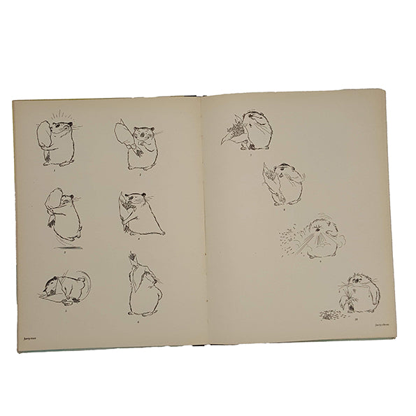 Max by Giovannetti - Macmillan, 1954