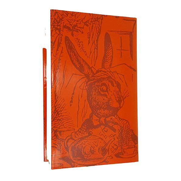 The Raven and the Writing Desk by Francis Huxley - Thames and Hudson 1976