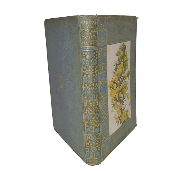 Wildflowers and Their Wonderful Ways by Rev. Charles A. Hall - Black, 1919