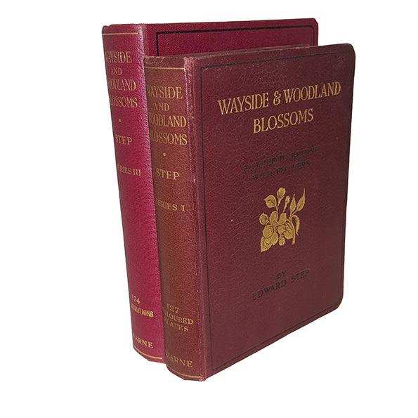 Wayside and Woodland Blossoms by Edward Step Series I &amp; III, 1930-3