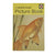 Ladybird 704 Picture Books: A Second Picture Book 1970