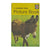 Ladybird 704 Picture Books: A Third Picture Book 1973