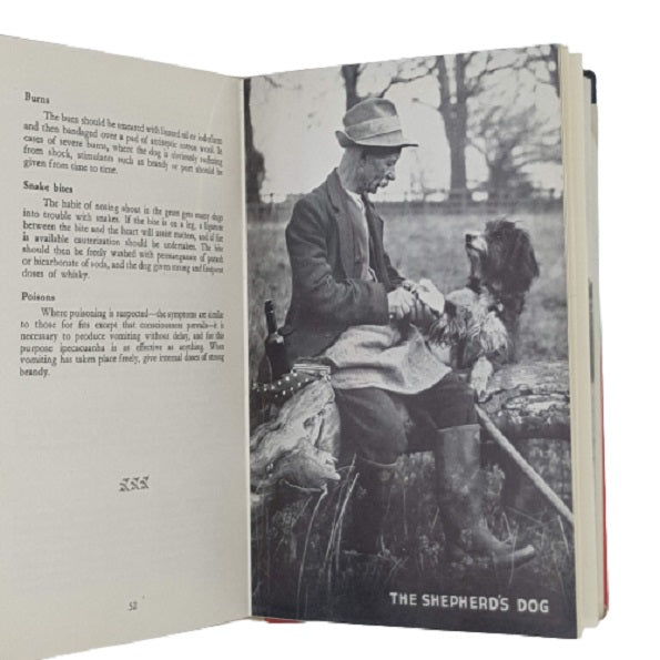 Everyman's Dog - A Useful Book for Every Dog-Owner - Cooper