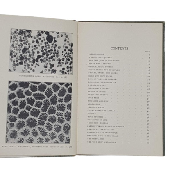 Rocks and Fossils and How to Identify Them by J, H. Crabtree - Epworth