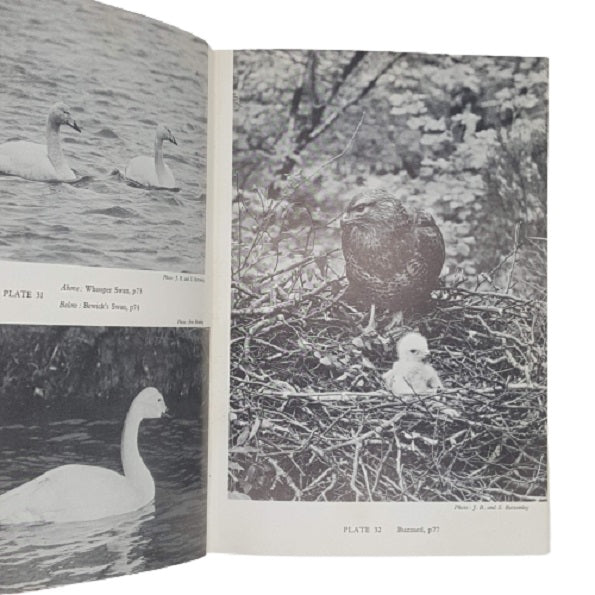 The Birds of the British Isles and their Eggs by T. A. Coward - Warne 1969-75