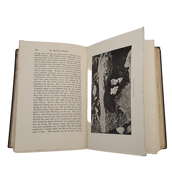 My Rock-Garden by Reginald Farrer - Edward Arnold, 1907