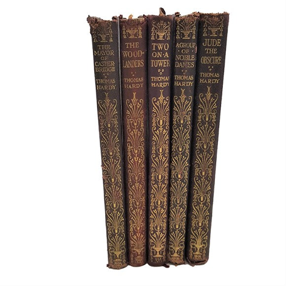 Thomas Hardy 5 Leather Books, Macmillan, 1920s