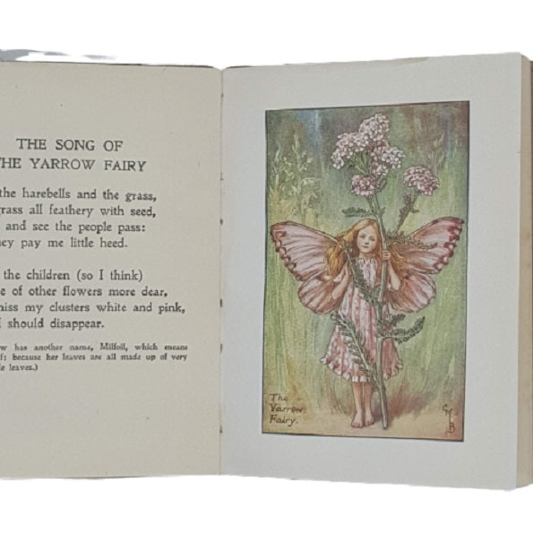 Flower Fairies of the Summer by Cicely Mary Barker - Blackie
