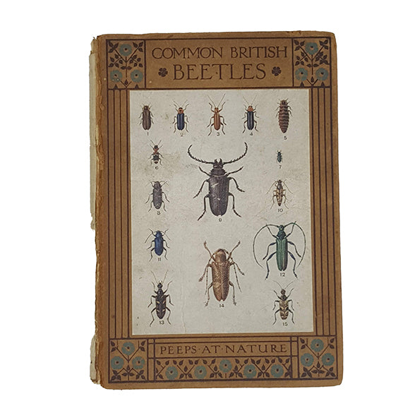 Common British Beetles by Rev. Charles A. Hall - Adam &amp; Charles Black 1914