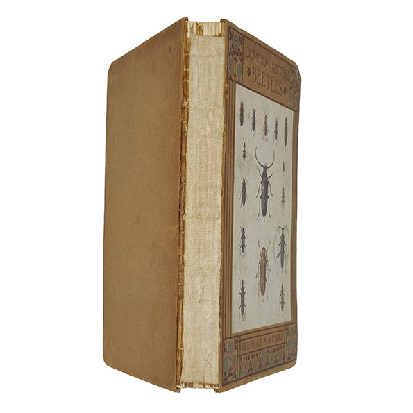 Common British Beetles by Rev. Charles A. Hall - Adam &amp; Charles Black 1914