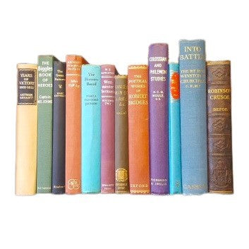 Books by the Metre: Vintage Mixed Colour