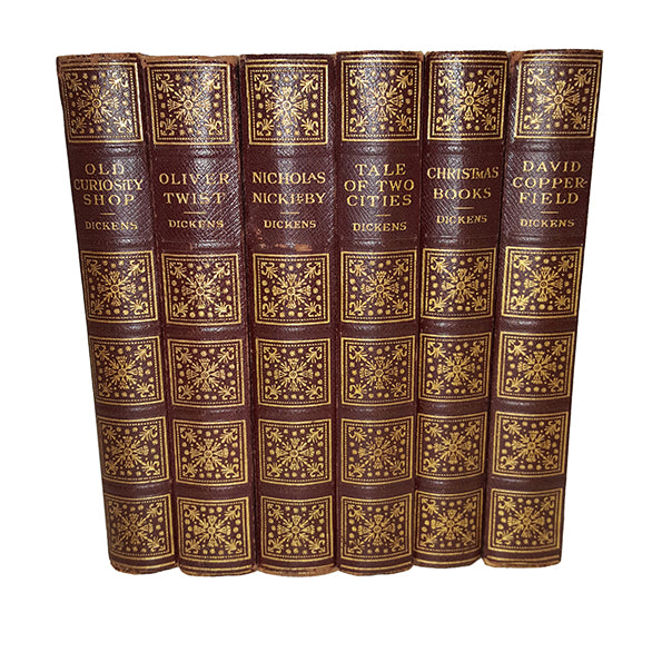 Charles Dickens Illustrated Works - 17 Decorative Books