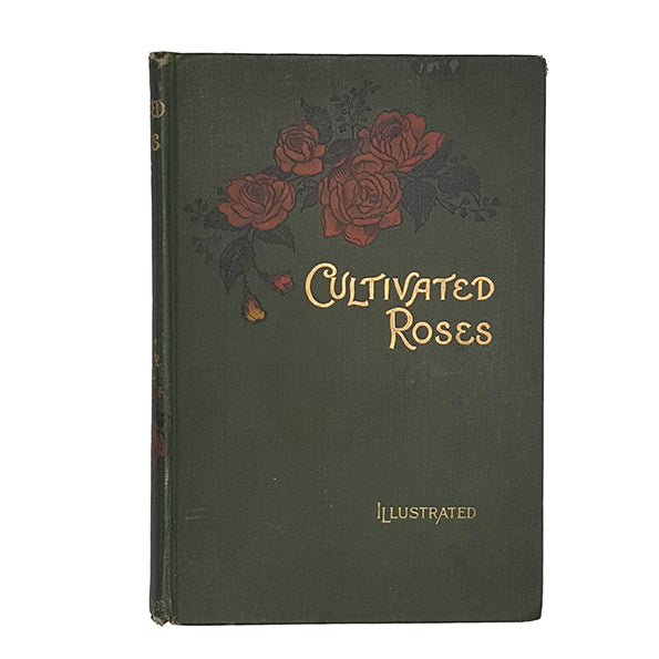 Cultivated Roses by T. W. Sanders, 1899