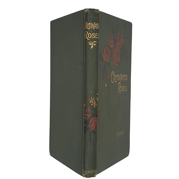Cultivated Roses by T. W. Sanders, 1899