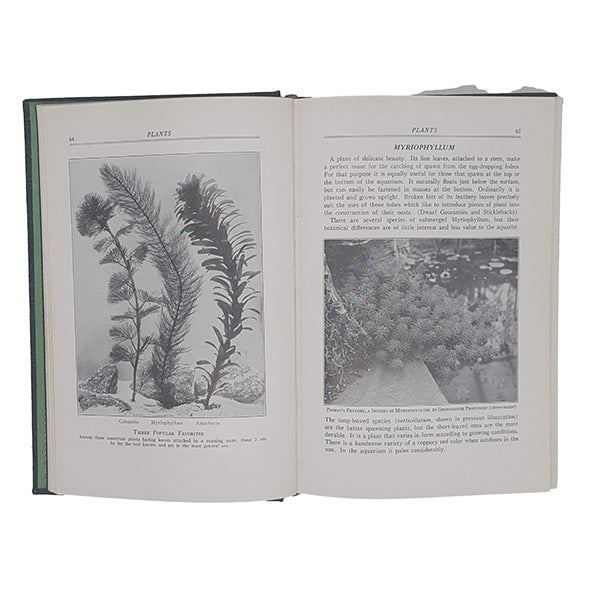 Exotic Aquarium Fishes by William T. Innes - Innes Publishing 1947