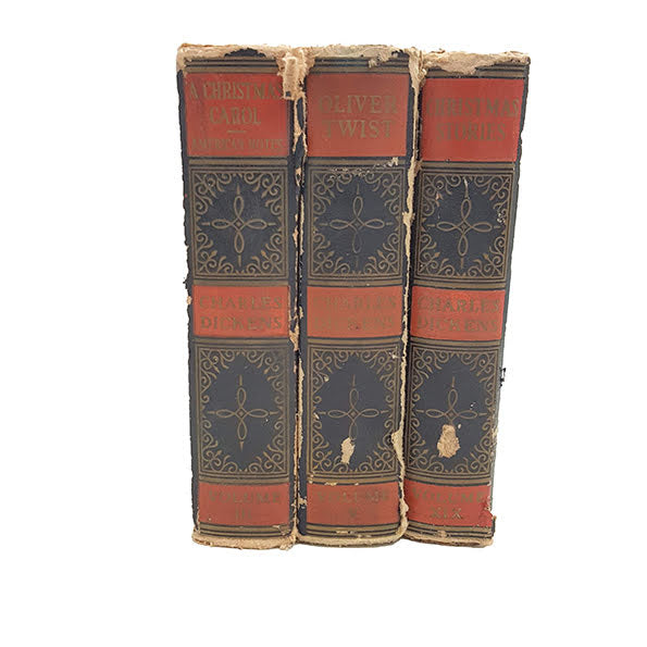 Charles Dickens' Illustrated Collected Works - Books, Inc (10 Books)