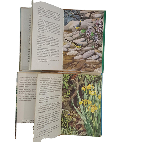 What To Look For Through The Seasons c.1960 - Ladybird Series 536 (4 Books)