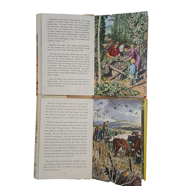 What To Look For Through The Seasons c.1960 - Ladybird Series 536 (4 Books)