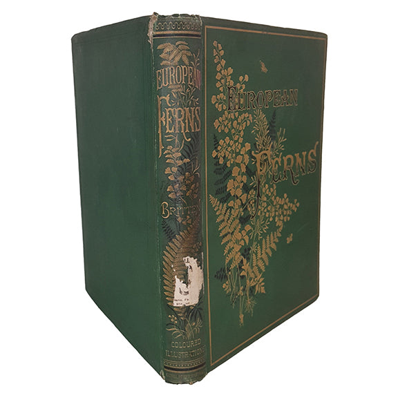 European Ferns by James Britten - Cassell, c.1880